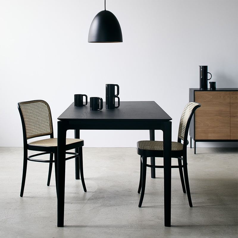 FIONA Modern REGIS Dining Table Nordic Solid Wood